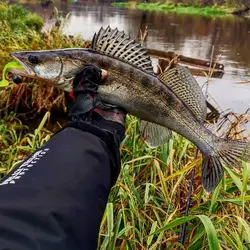 Supercontinentes Wobblers Shad Señuelos para pesca de carpa