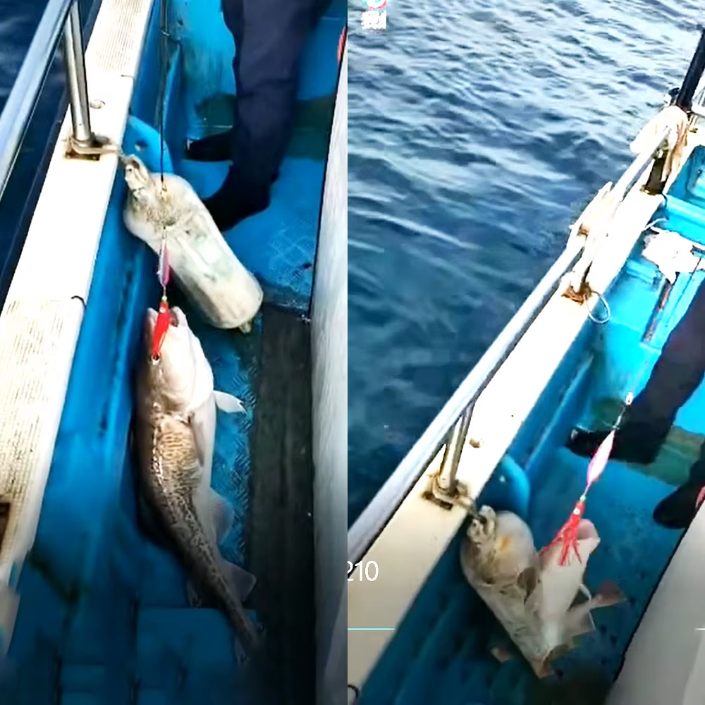 AS Inchiku Jig lento con falda de pulpo luminosa para lubina - imagen 4