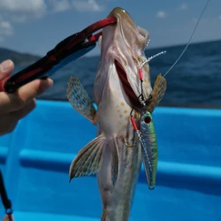 Anzuelos Micro Chinu Doutuki JK – Asistencia para carpa y oropel