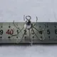 Anzuelos jig head con peso trasero y anilla para vinilo - imagen 5