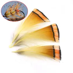 MNFT Plumas de Faisán Dorado Real para Atar Moscas – Calidad Premium