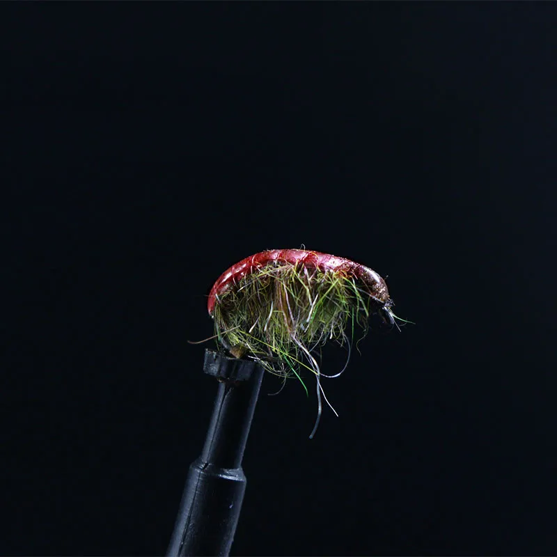 Tiras elásticas Royal Sissi de varios colores sobre fondo blanco