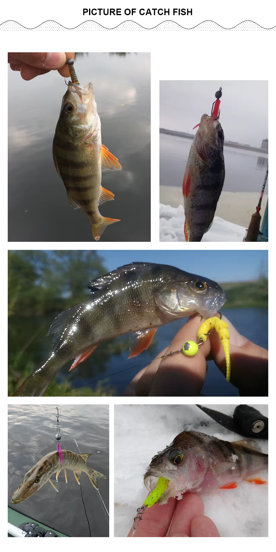 Pescador lucio capturado con el señuelo