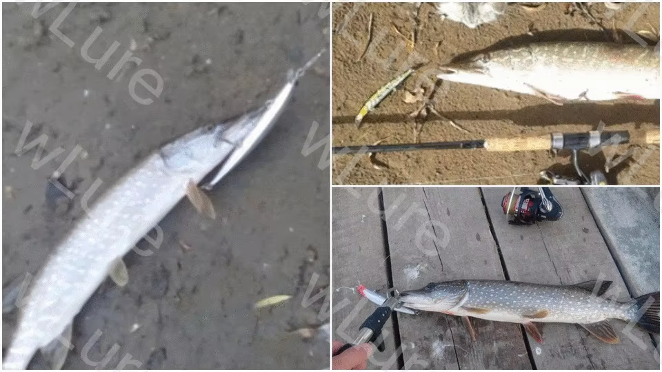 Ejemplo de uso en río poco profundo
