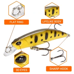 Crankbait Pececillo Slow Sinking – Señuelo para lucio y carpa