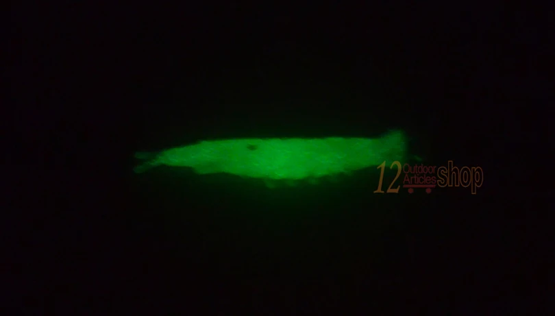 MNFT señuelo camarón luminoso para pesca de carpa - imagen 4