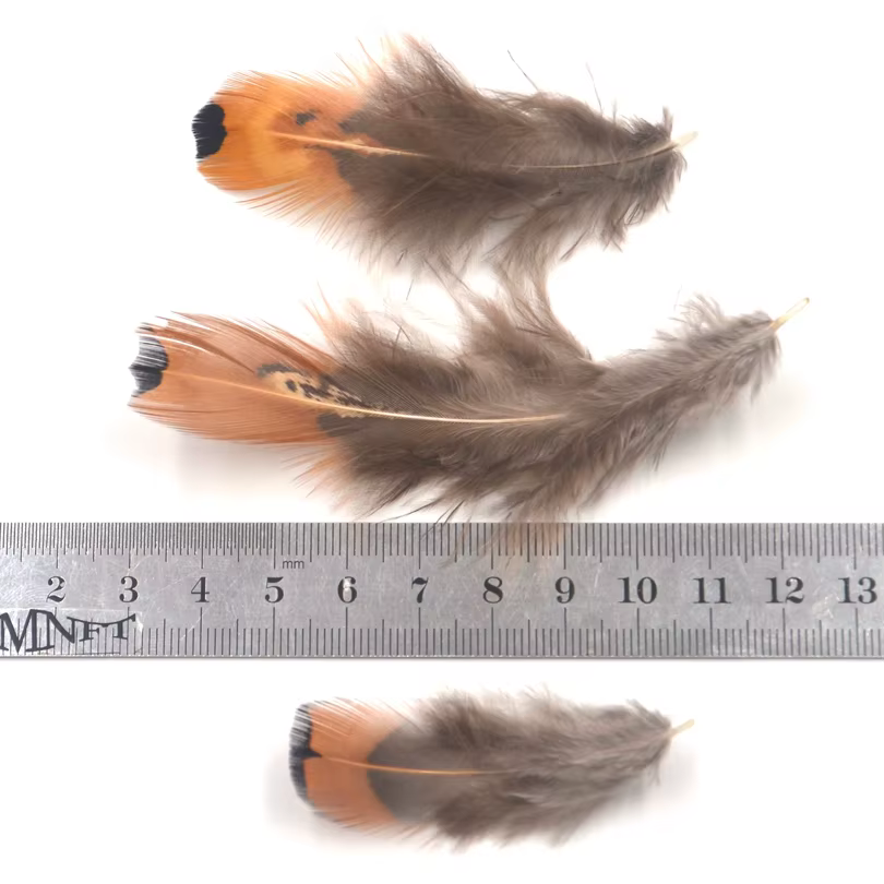 MNFT Plumas mixtas para moscas - punta marrón gris natural, ala cola - imagen 3