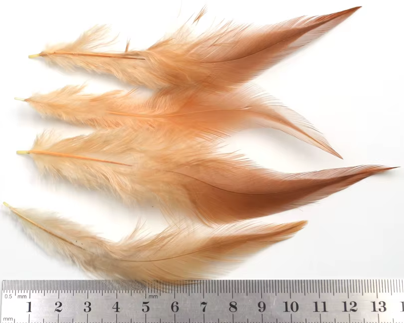 MNFT Hackle de faisán Ginger – Plumas Dun para atar moscas - imagen 3
