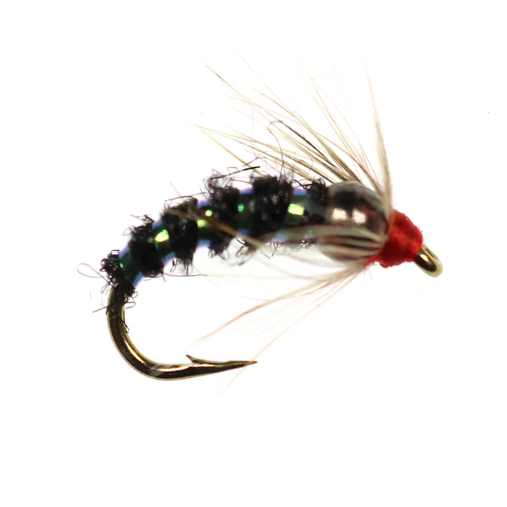 Ninfas Bimoo Char Caddis Premium #10 #12 – Para trucha arcoíris - imagen 2