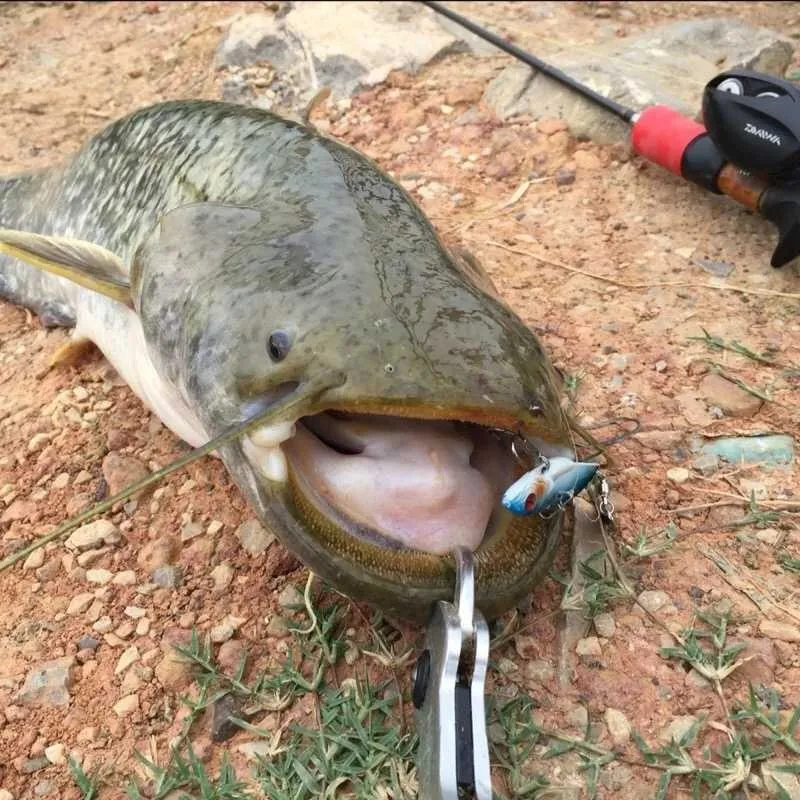 Vista del señuelo VIB de metal con hoja y spinner para pesca de lubina