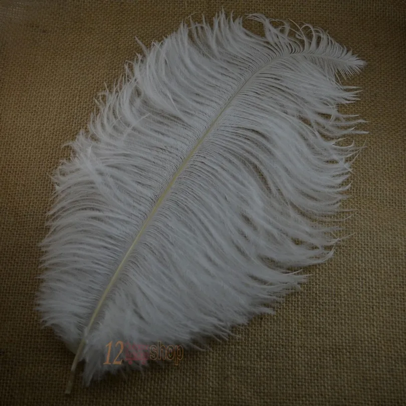 Pluma de avestruz MNFT vista frontal