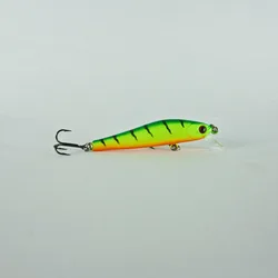 BassLegend Jerkbait Minnow 55mm – Señuelo suspender para bass y lucio