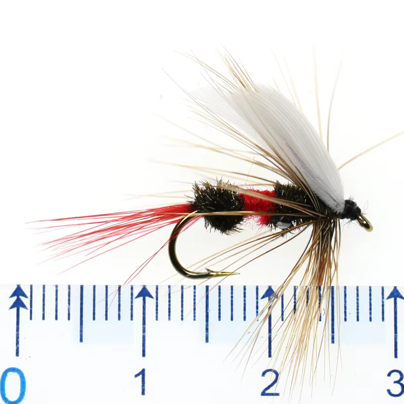 Mosca Coachman Real seca para trucha - imagen 2