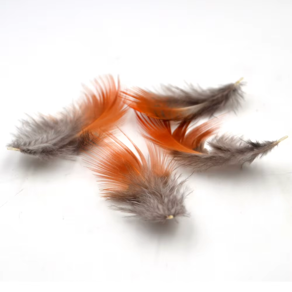 Plumas de Faisán MNFT – Material Natural para Moscas de Pesca - imagen 2