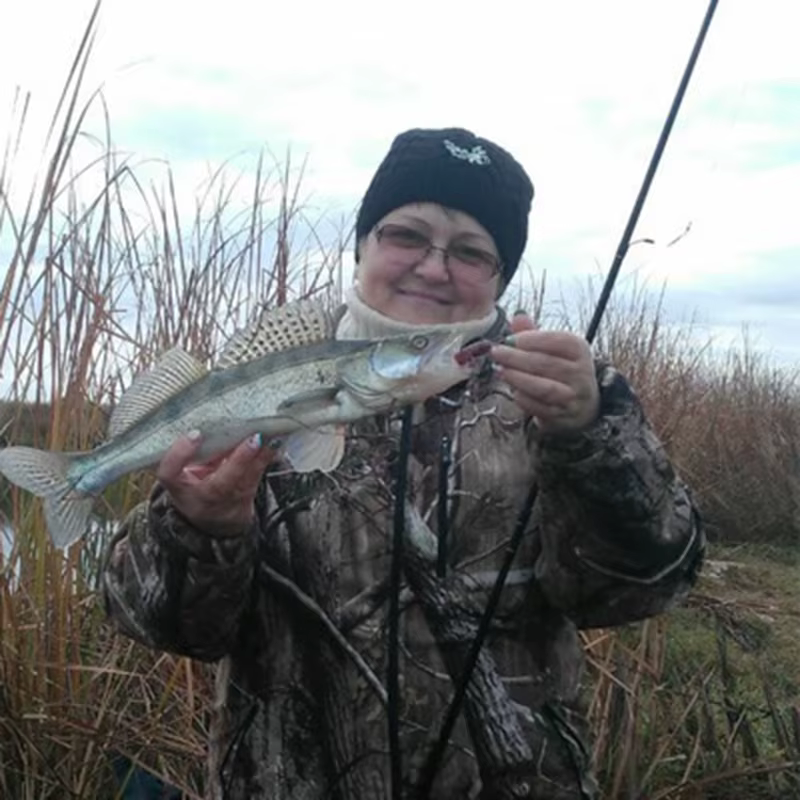 O'Shaughnessy anzuelos pesca agua salada forjados acero inox 1/0-10/0 - imagen 5