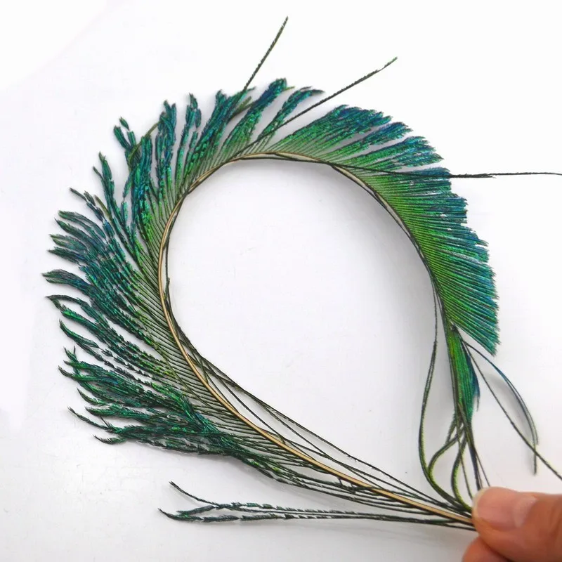 Plumas de pavo real verde oliva en detalle