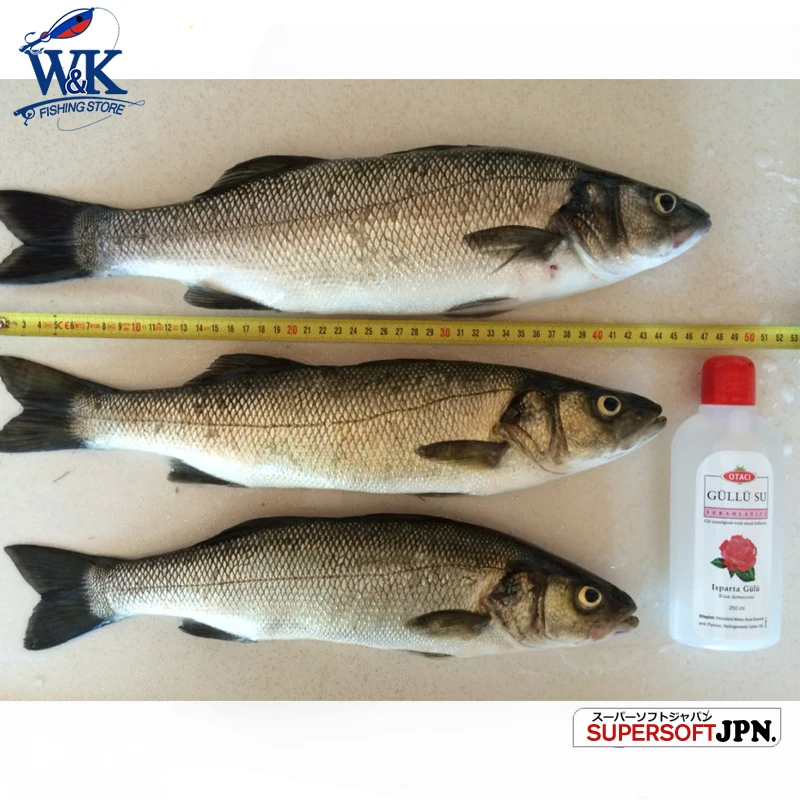 Kit Seabass: señuelos blandos 6-14,5 cm con cabezas plantilla - imagen 5