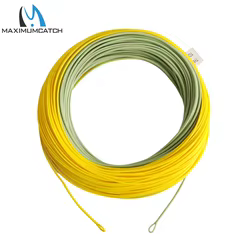 Línea de Mosca Weight Forward Maximumcatch – Musgo verde y oro