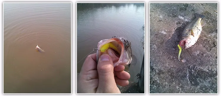 Detalle del señuelo blando WLDSLURE de 7,5 cm para pesca
