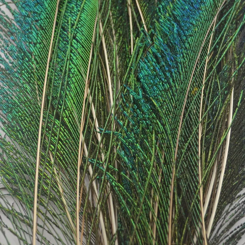 Variedad de plumas en el paquete
