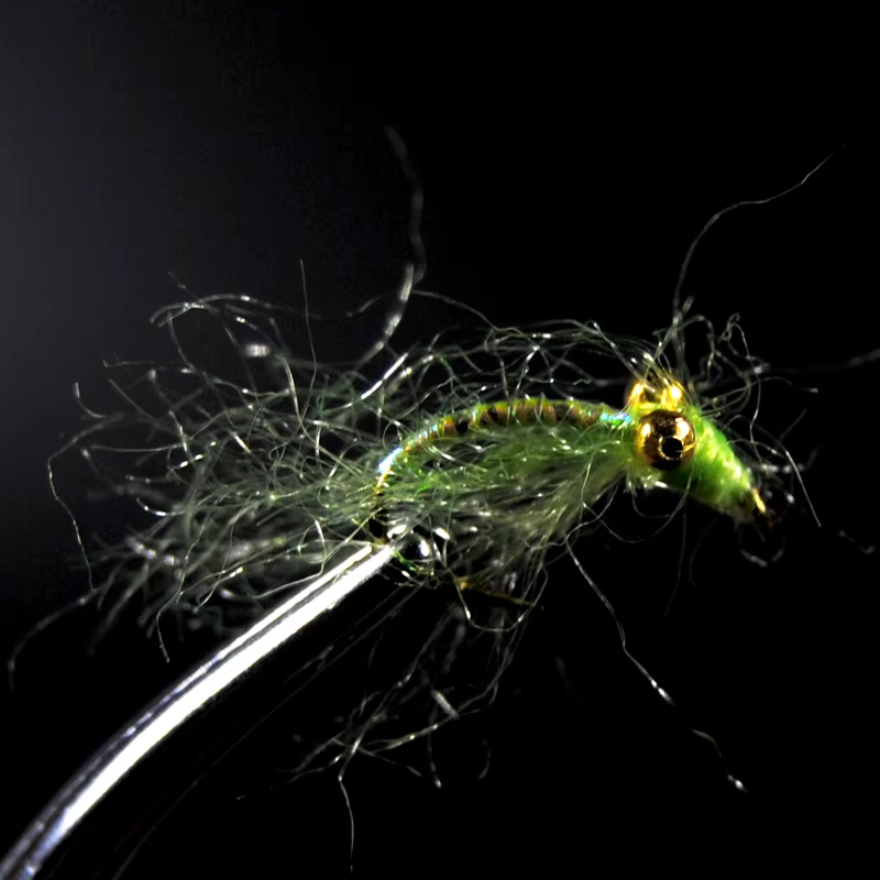 Anzuelo Crazy Charlie Bimoo dorado – Mosca trucha azul hundimiento rápido - imagen 3