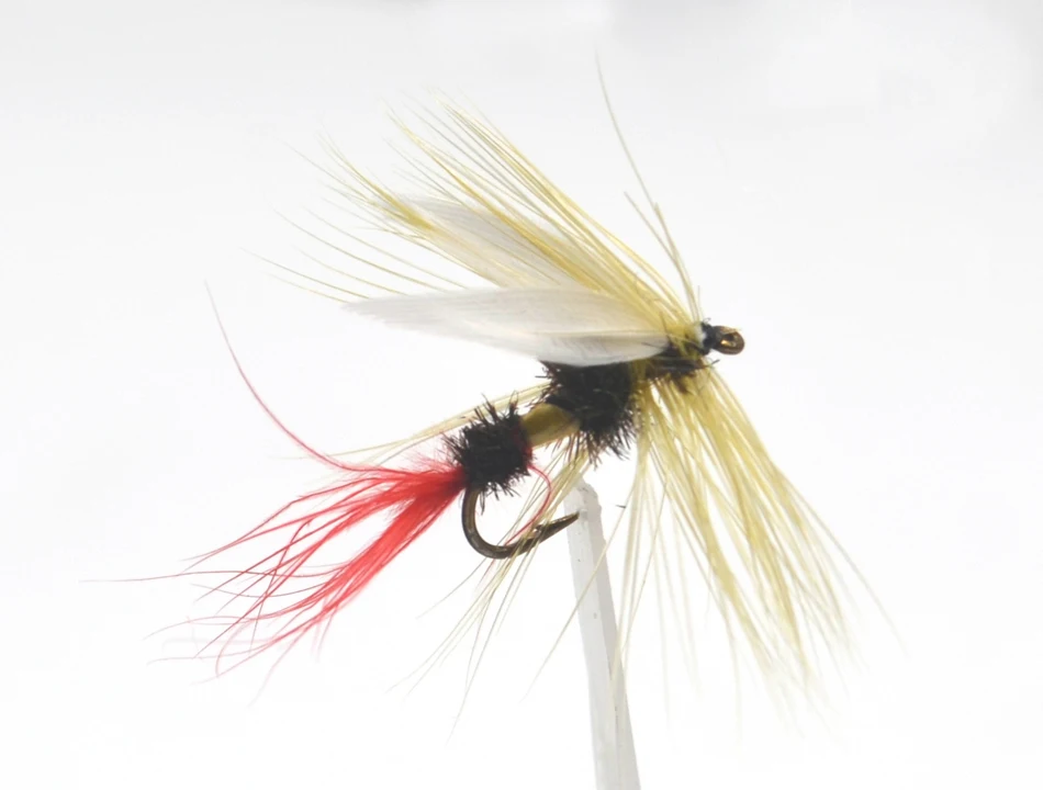 Detalle del ala blanca y cuerpo amarillo de la mosca MNFT