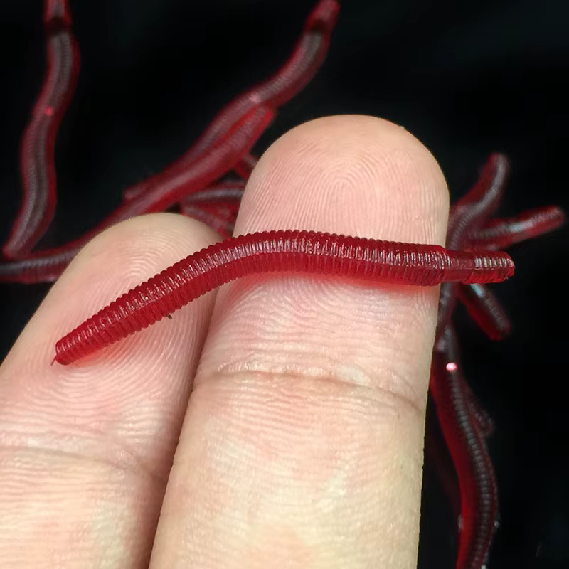 Infish Finesse Worm – Vinilos para Lubina y Carpa - imagen 5