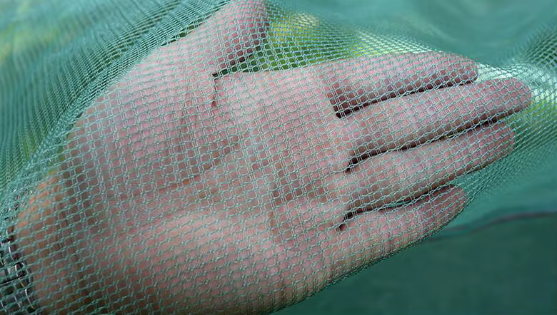 Red de pesca cuadrada malla pequeña para acuicultura - imagen 4