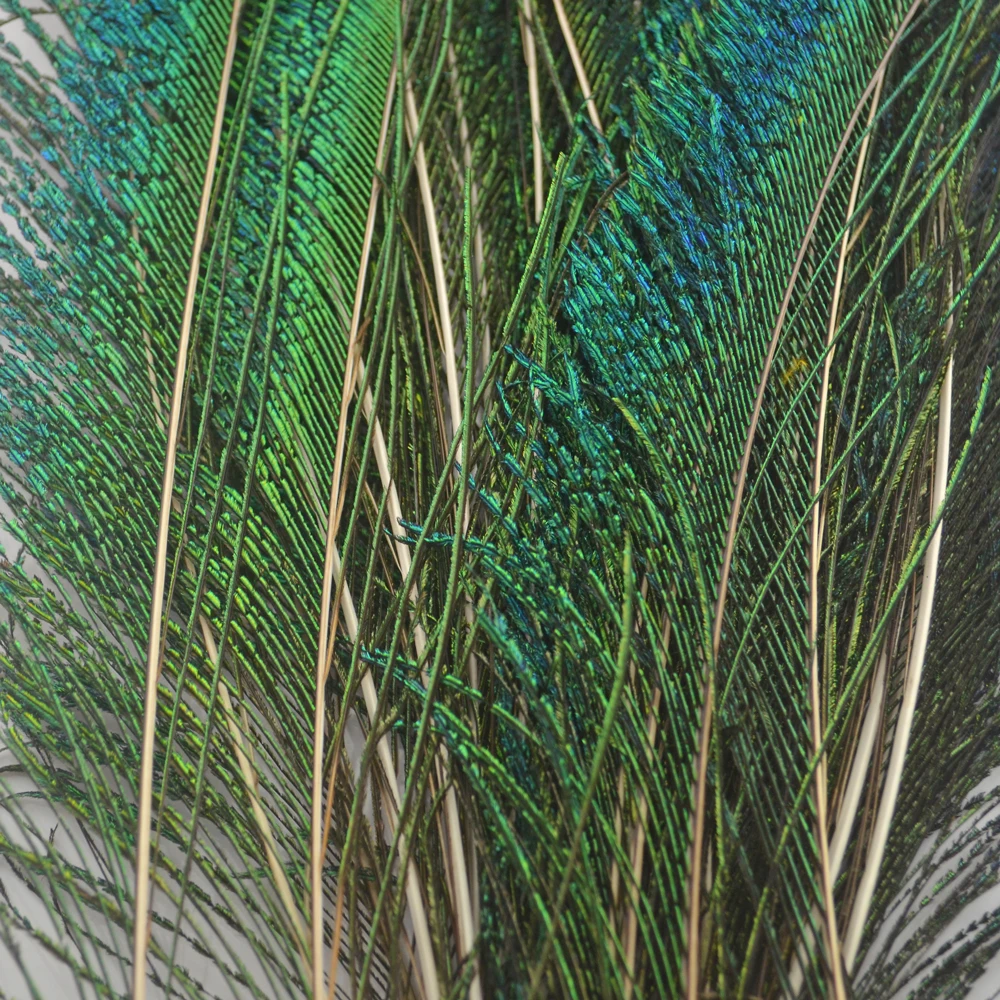 Pluma pavo real atado moscas MNFT verde oliva señuelo de pesca - imagen 3