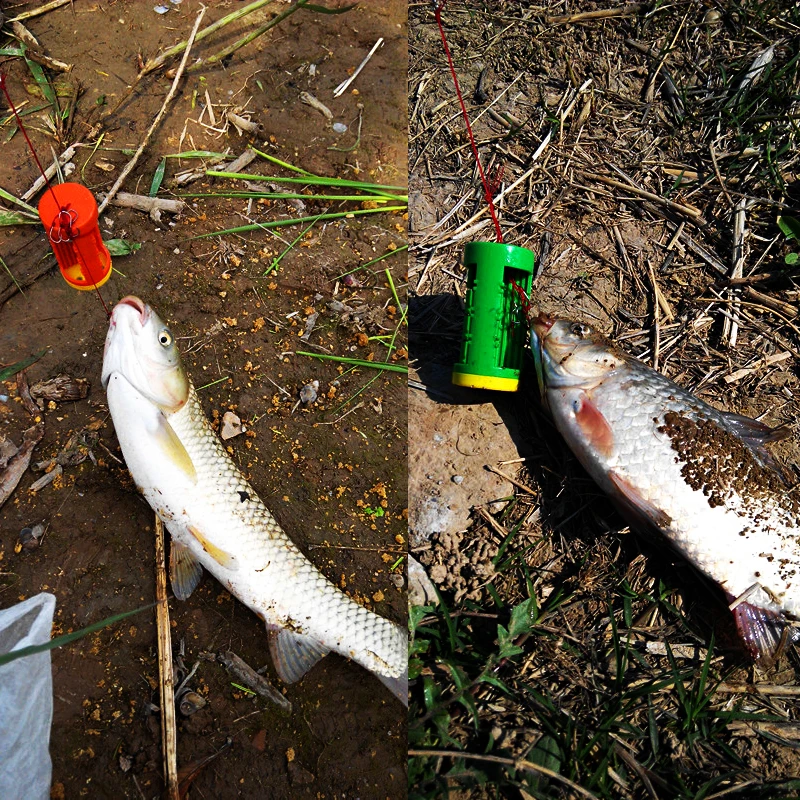 Anzuelos feeder para carpa JIGEECARP con jaula para cebo - imagen 3