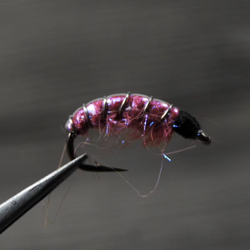 Ninfas Scud Bimoo para Trucha - imagen 2