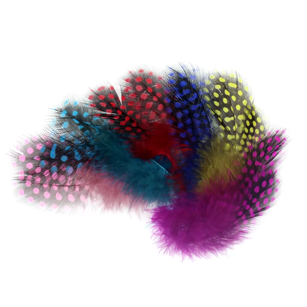 Plumas de Guinea teñidas en colores variados
