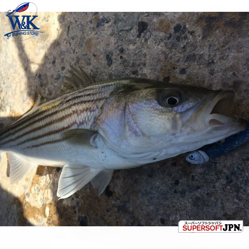 Señuelo Swimbait Paddle Tail Pro 11 cm para lucio y bass - imagen 4