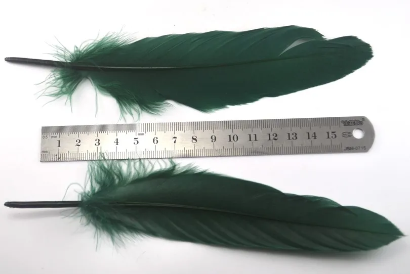 Lote de 50 plumas naturales para atado