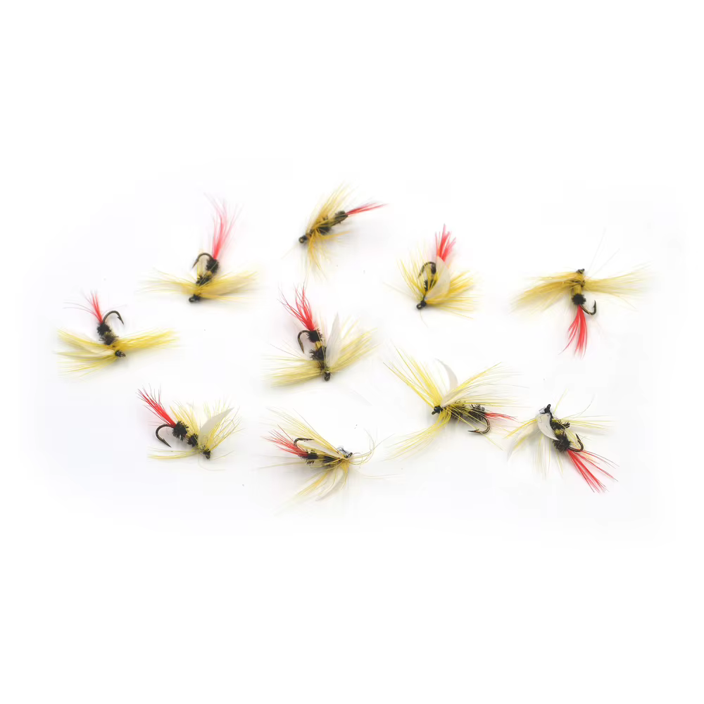 MNFT Royal Wulff Coachman Amarillo Ala Blanca Pesca con mosca Lubina - imagen 3