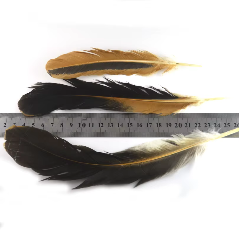 MNFT Plumas Ala de Gallo Naturales Negro y Marrón para Atar Moscas - imagen 3