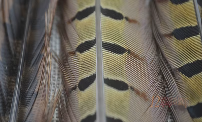 Plumas naturales MNFT – Material de atado para moscas de pesca - imagen 4