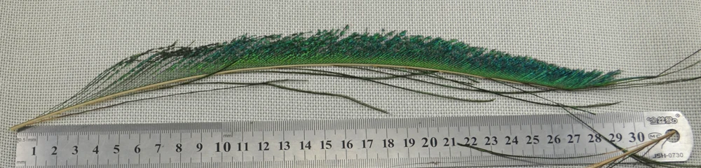 Pluma pavo real atado moscas MNFT verde oliva señuelo de pesca - imagen 4