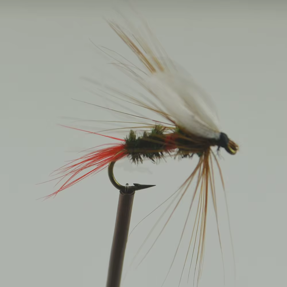 Royal Wulff Coachman – Mosca seca para trucha, Imitación eficaz - imagen 2