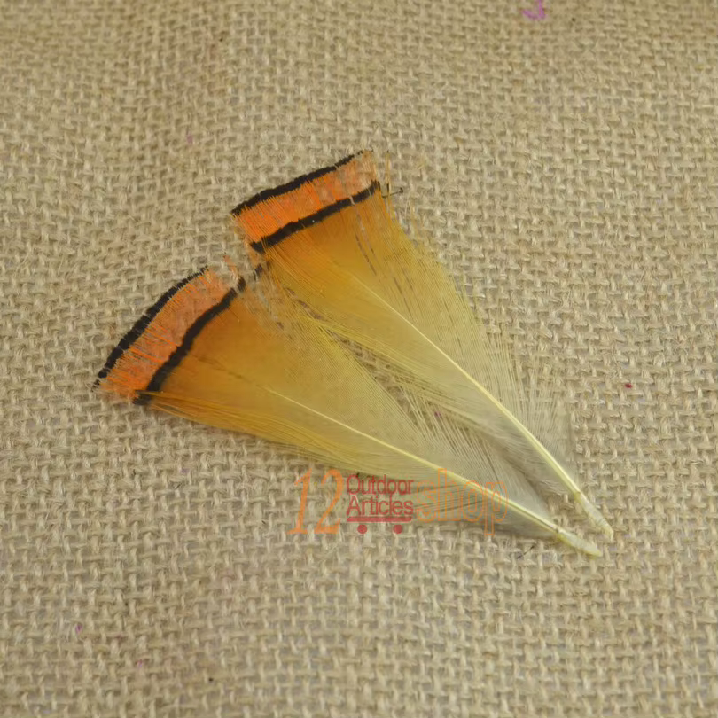 MNFT Plumas de Faisán Dorado Real para Atar Moscas – Calidad Premium - imagen 4