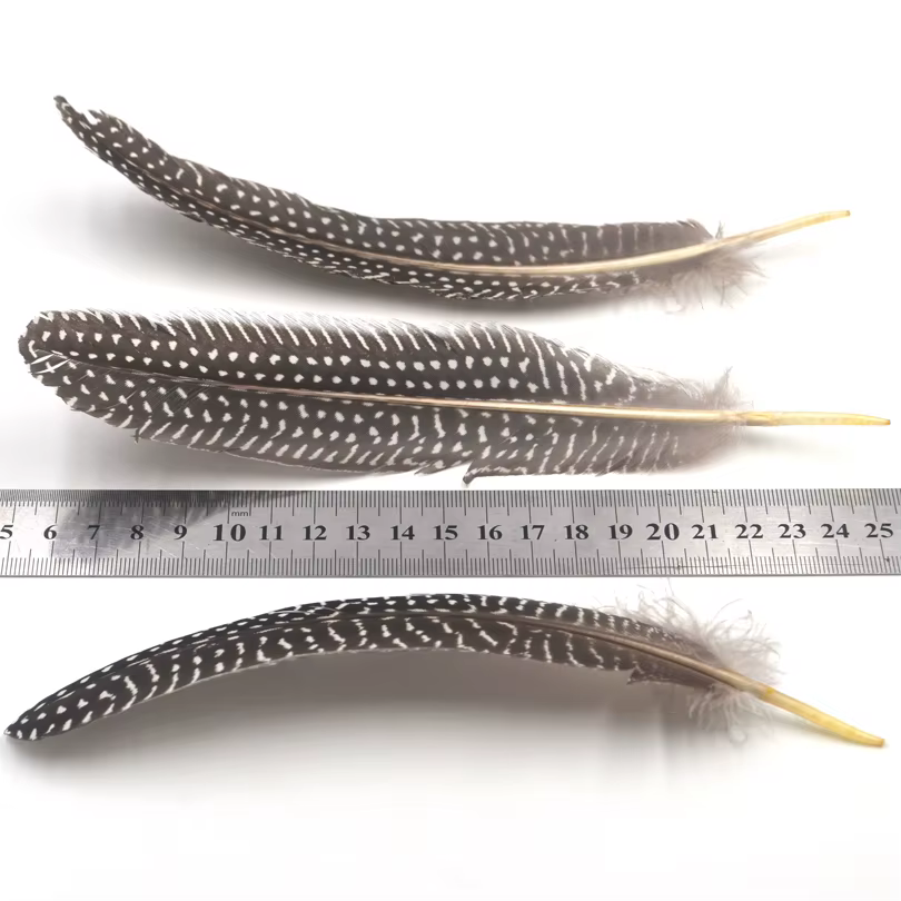 MNFT Plumas de Faisán para Mosca – Material atado ninfa
