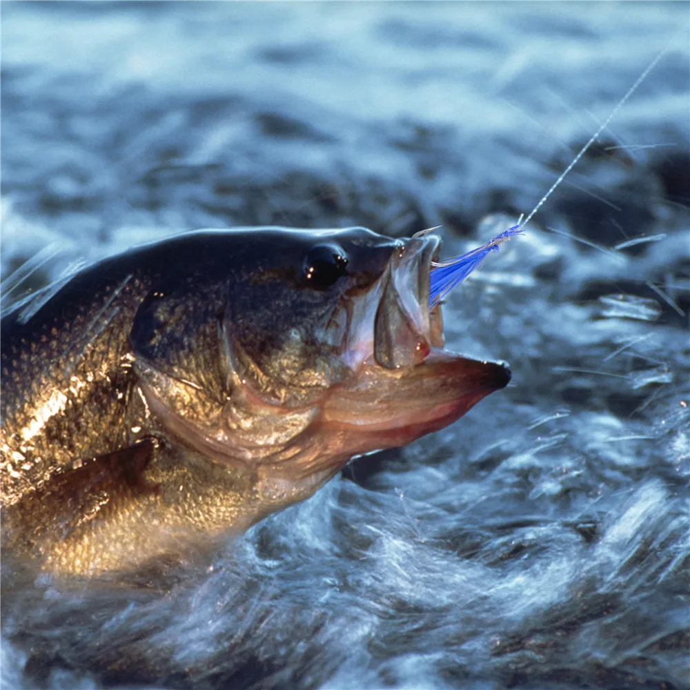 Aparejos de pesca con plumas 6 en 1 para lubina y bacalao - imagen 3