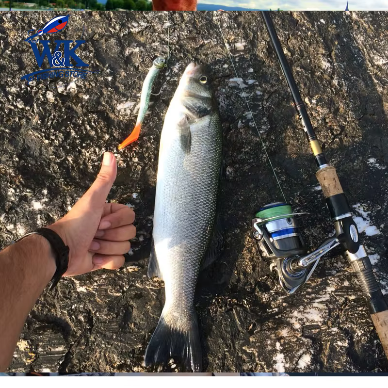 Señuelos de pesca