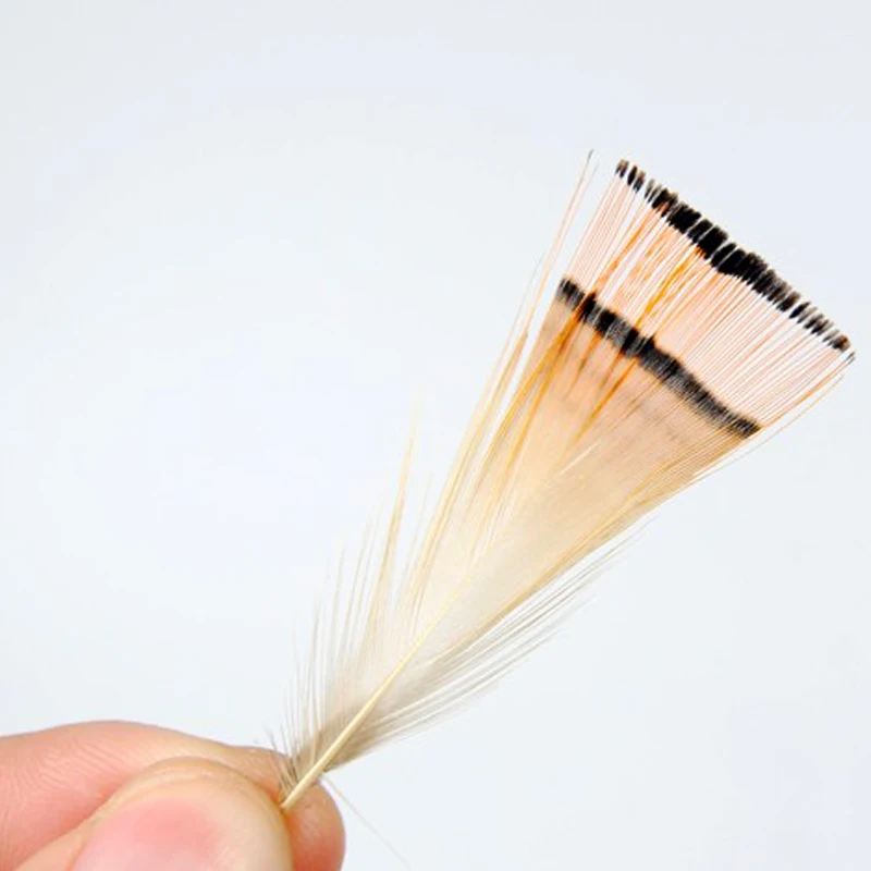 Wifreo Pluma Faisán Dorado Natural para Atar Moscas - imagen 3