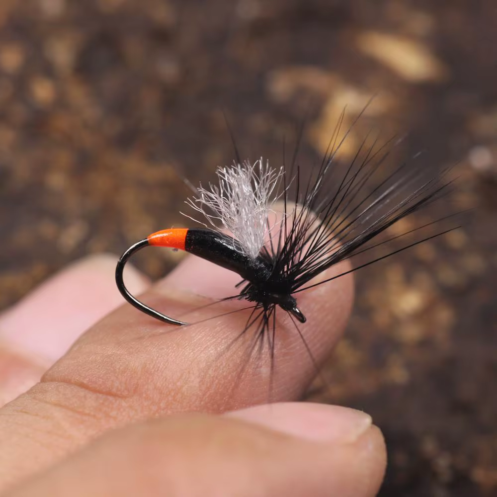 Bimoo Mosca Seca Hormiga Negra para Trucha - imagen 4