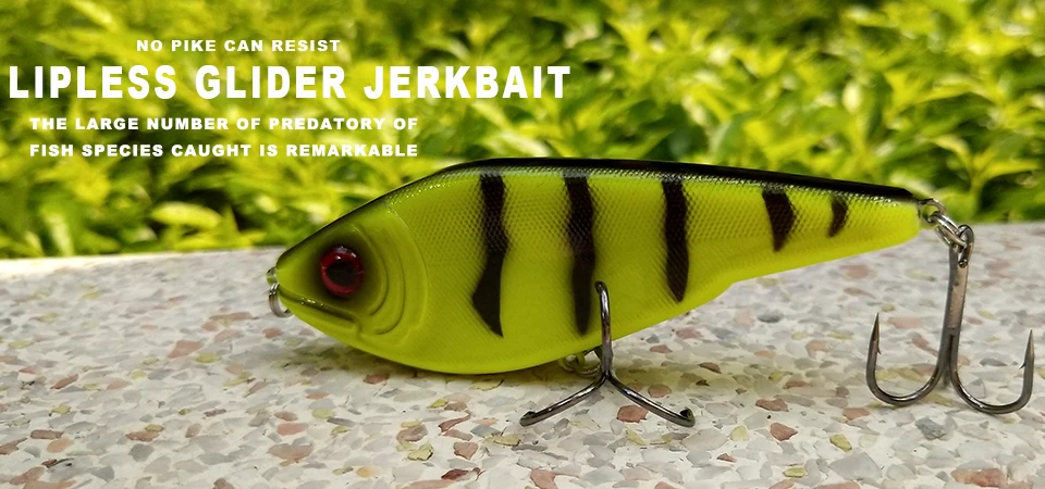 CCLTBA Jerk Bait vista frontal
