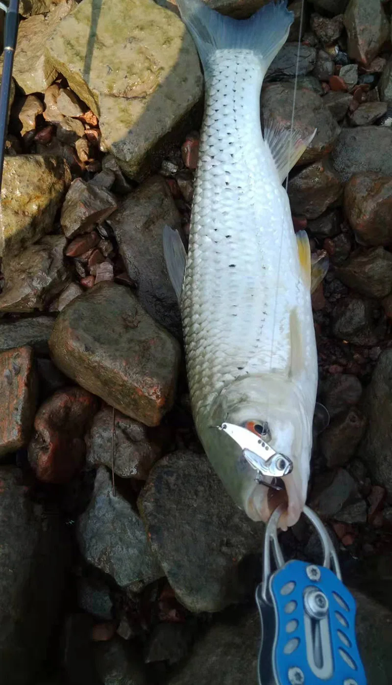 Señuelo VIB en uso durante una jornada de pesca