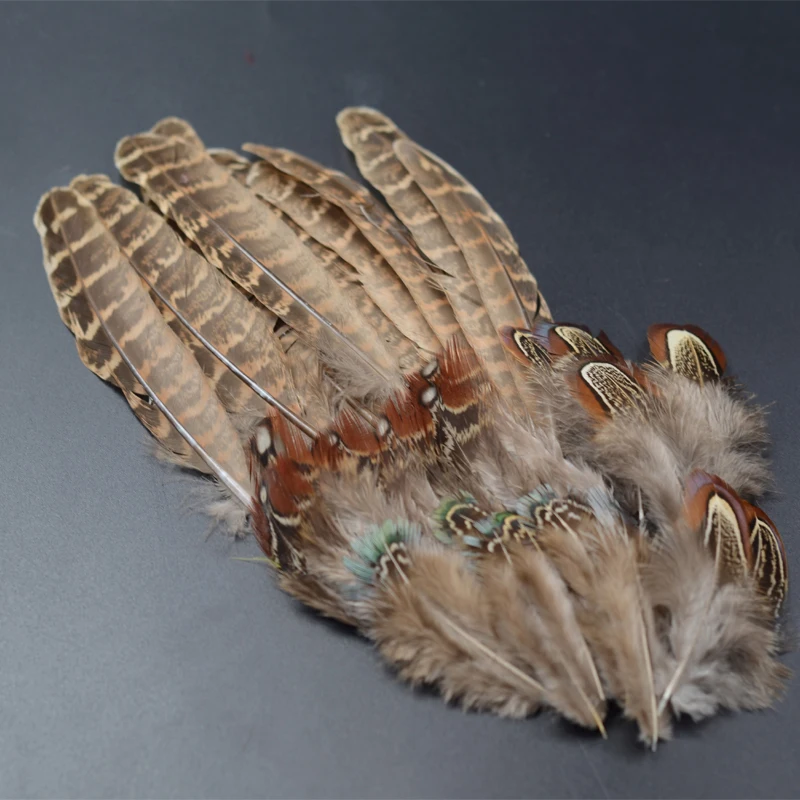 Surtido completo de plumas de faisán ringneck para atado de moscas