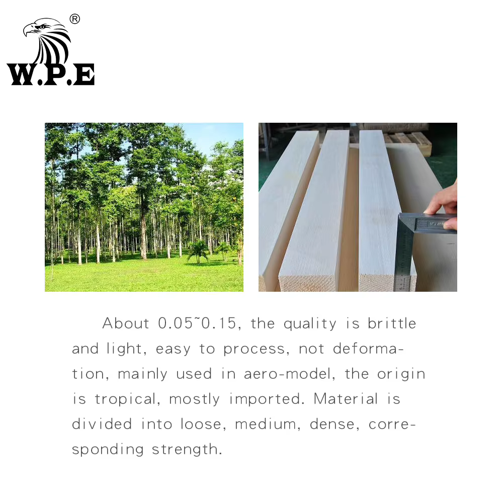 W.P.E Barguzinsky Fir flotador pesca carpa multicolor - imagen 4
