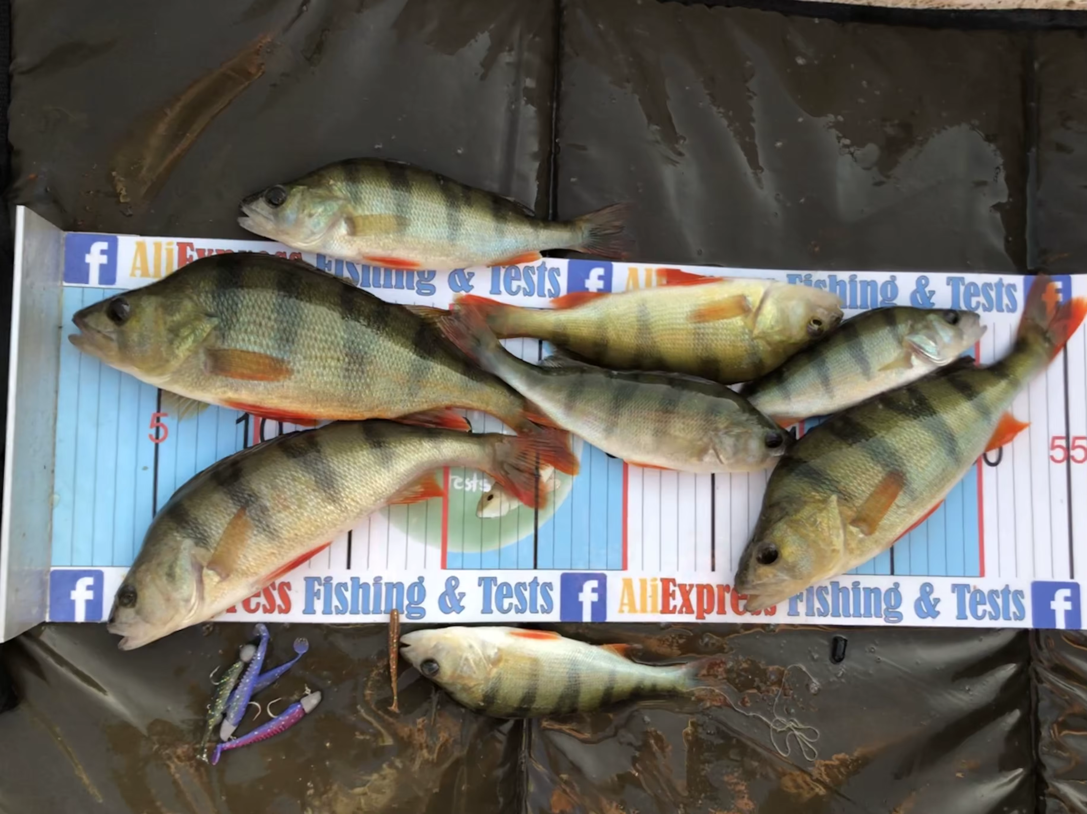 Supercontinentes Señuelos de pesca colores actualizados tamaños 5-11 cm - imagen 5